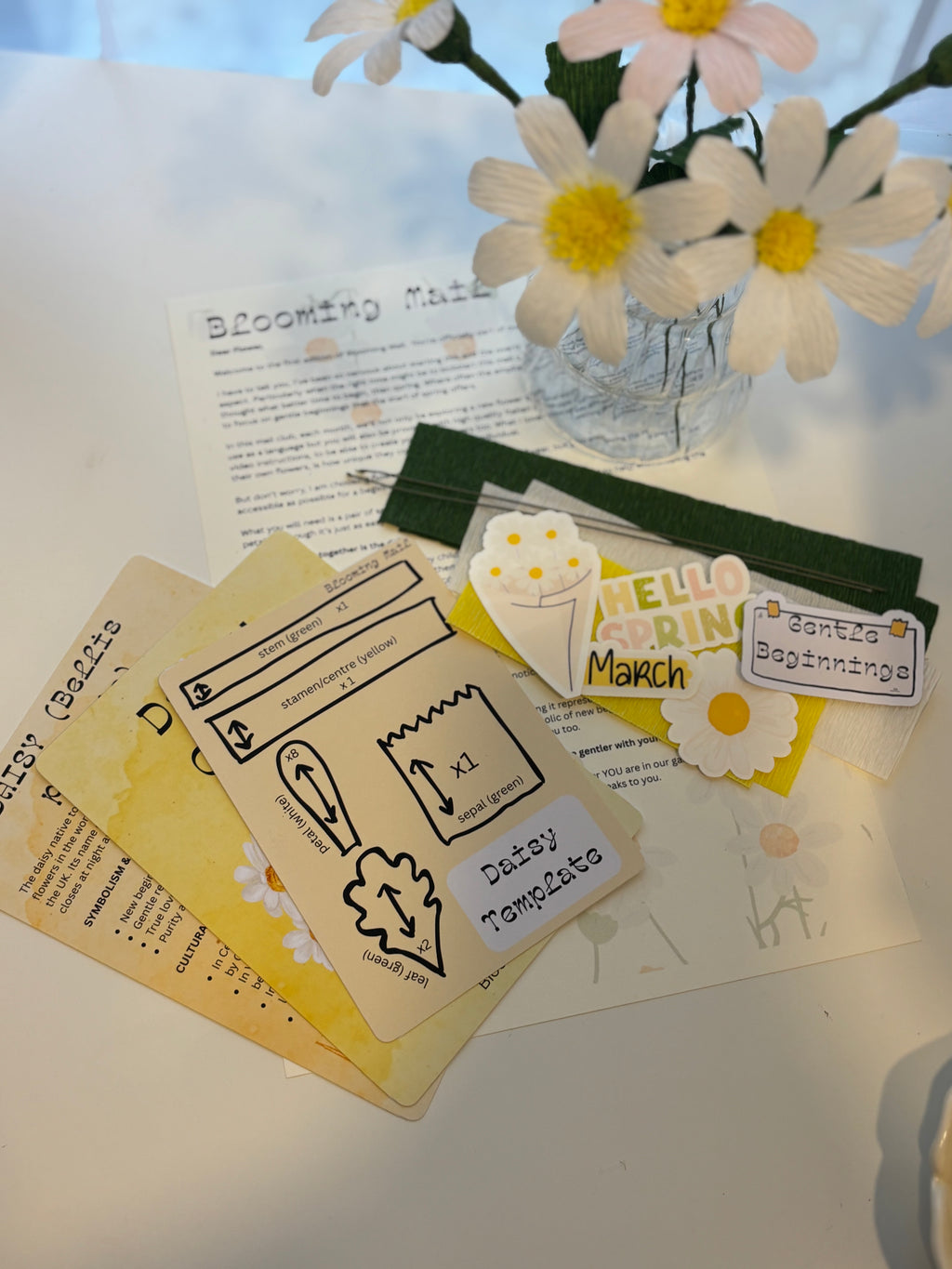 March flower- Daisy International