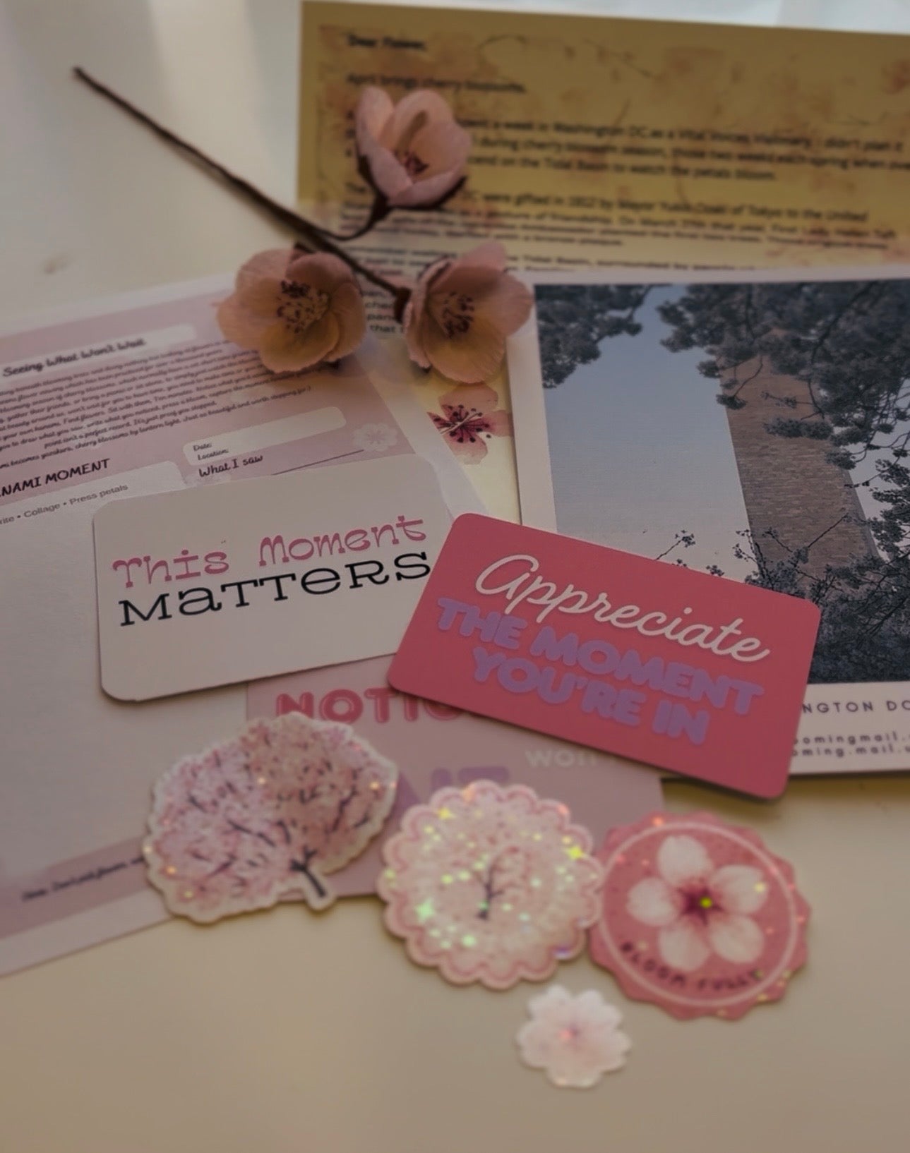 April Flower- Cherry blossom - International