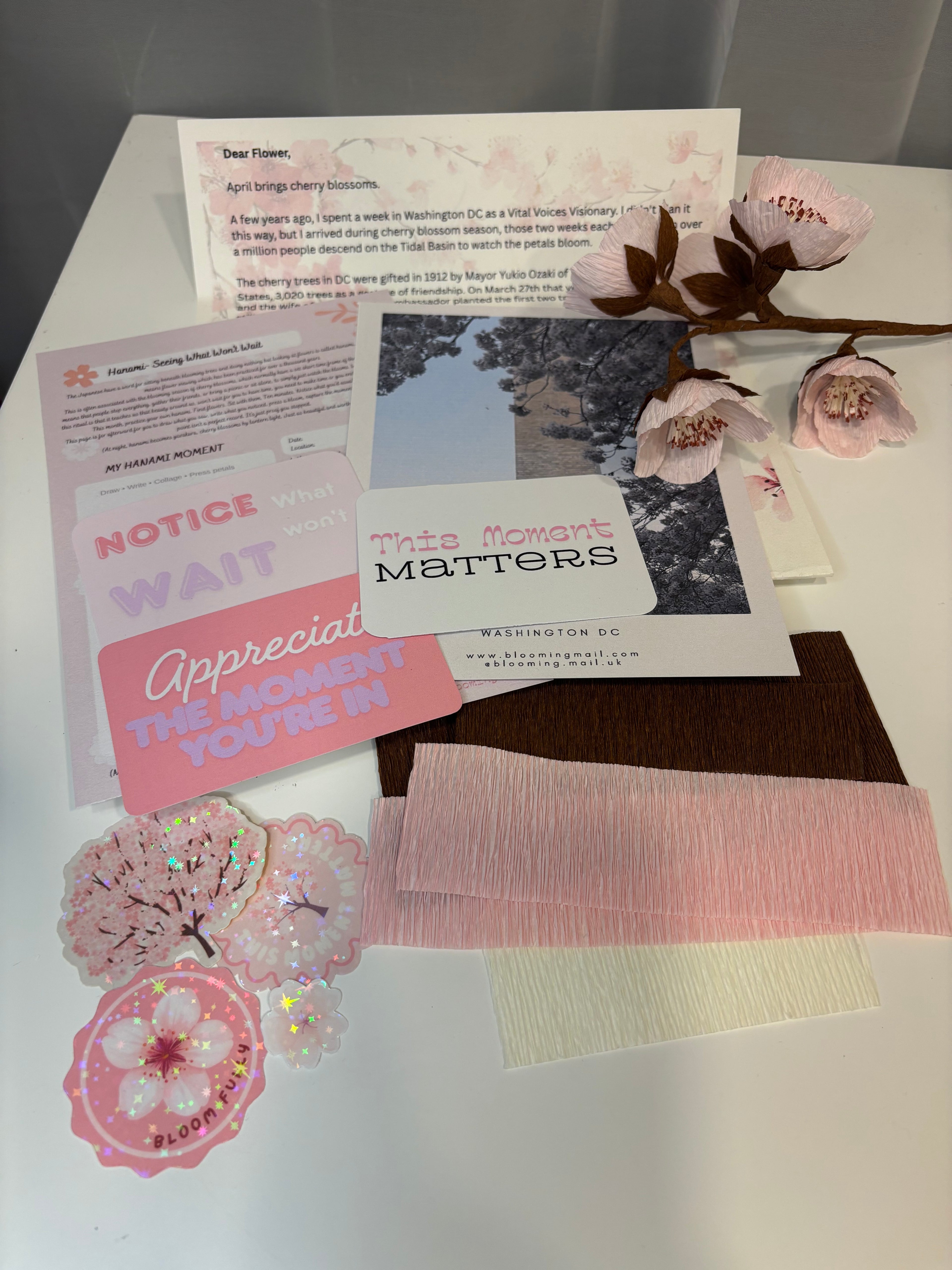 April Flower- Cherry blossom - International