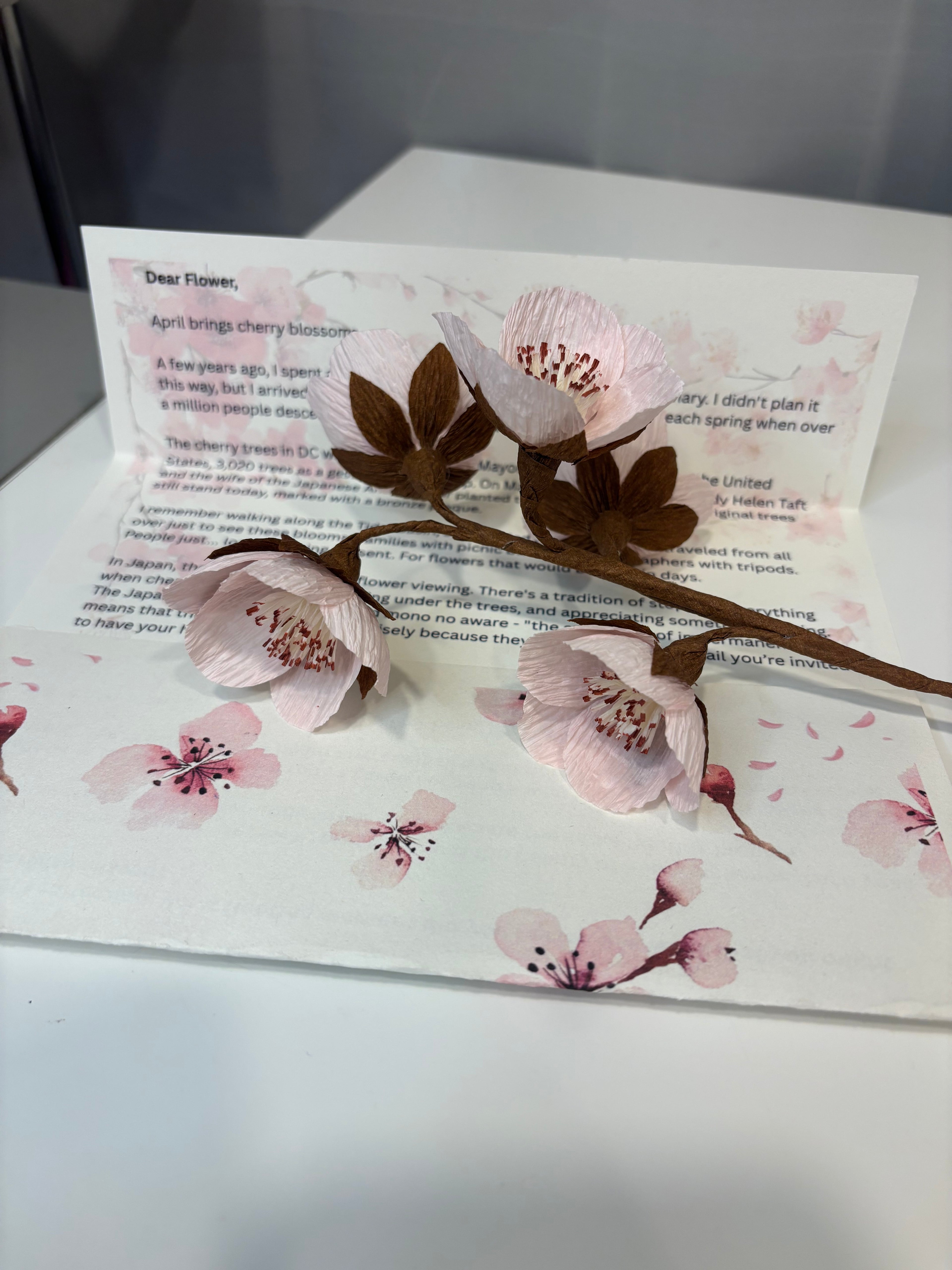 April Flower- Cherry blossom - International