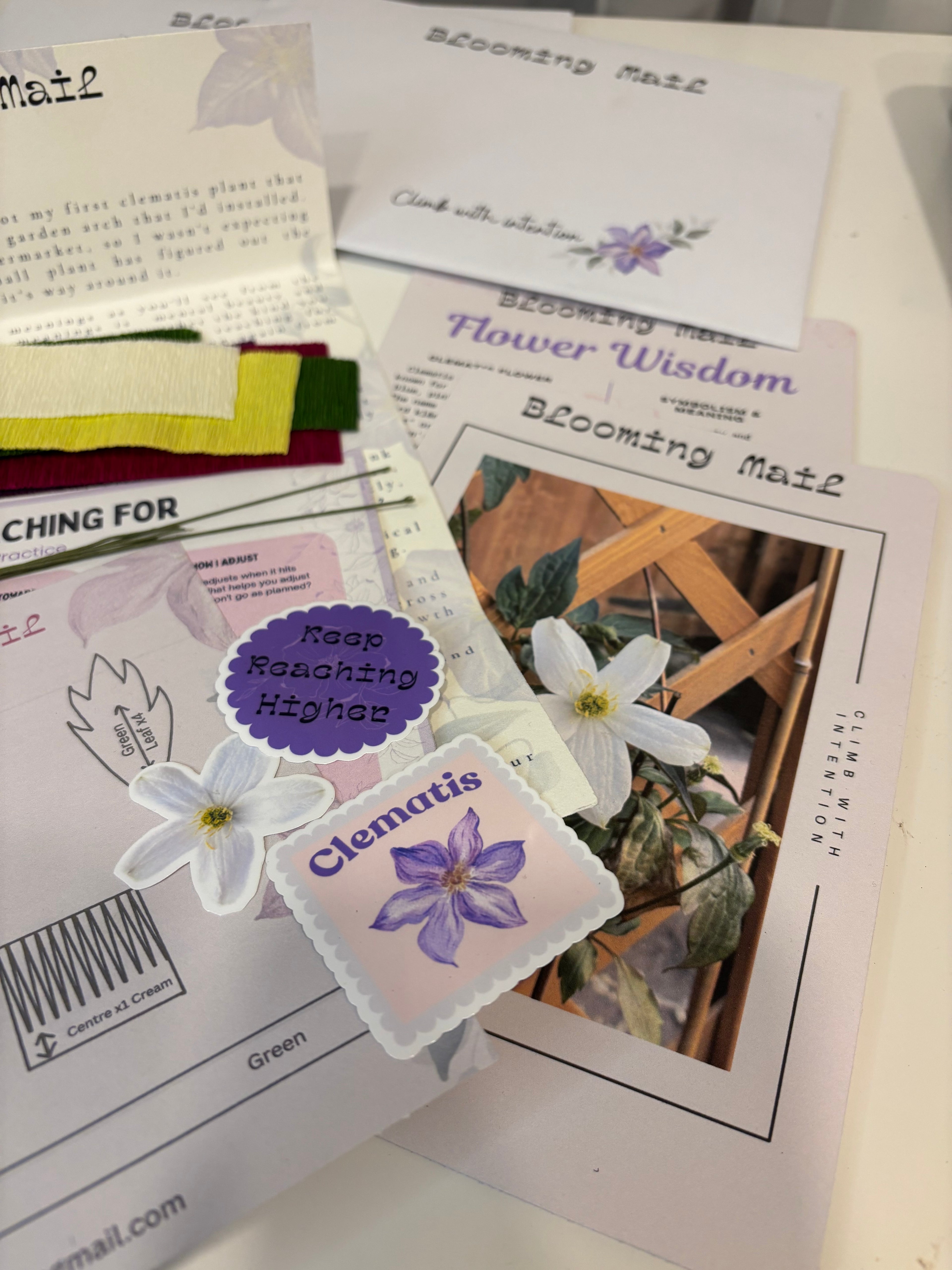 May flower- clematis International