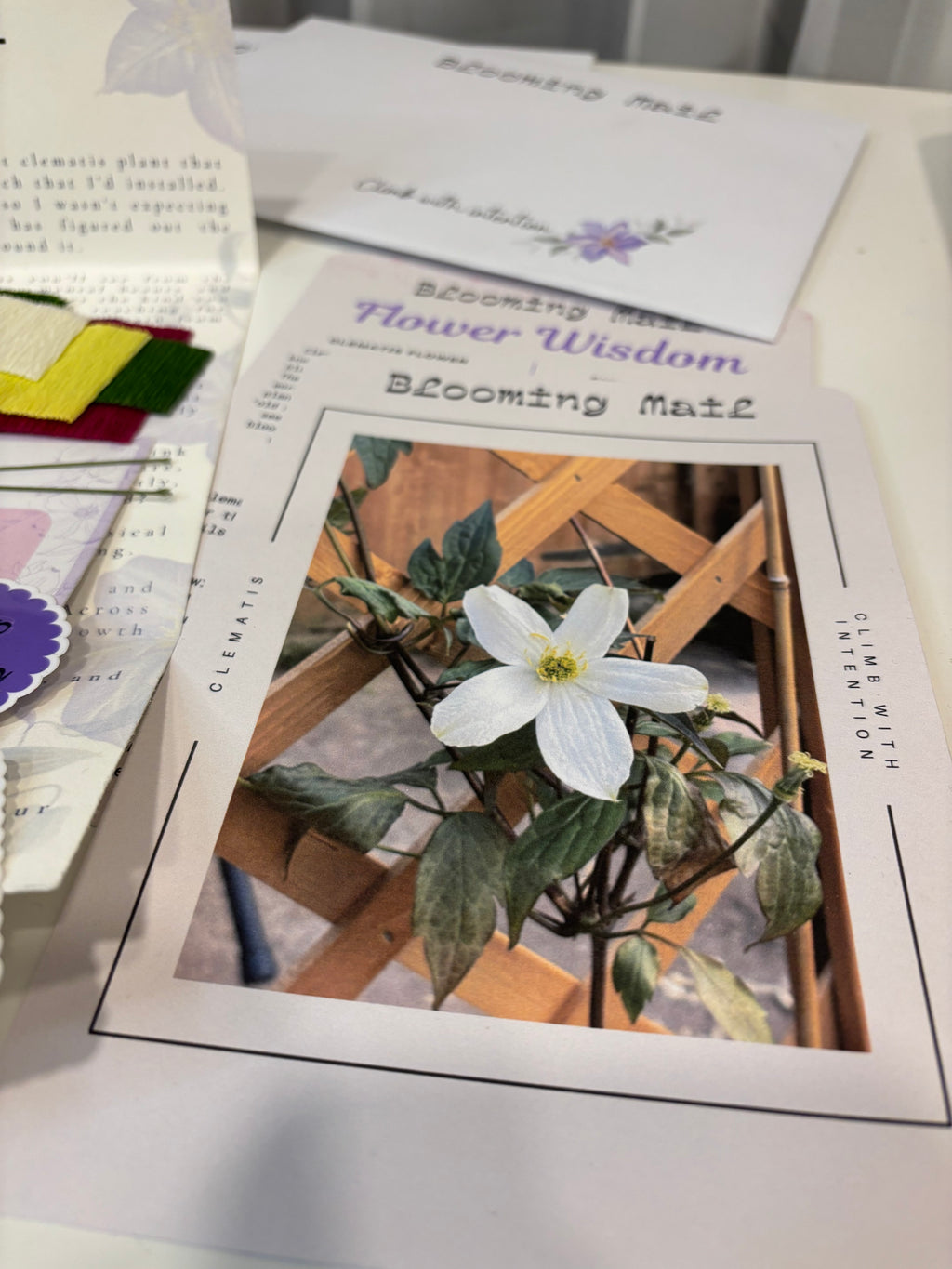 May flower- clematis International