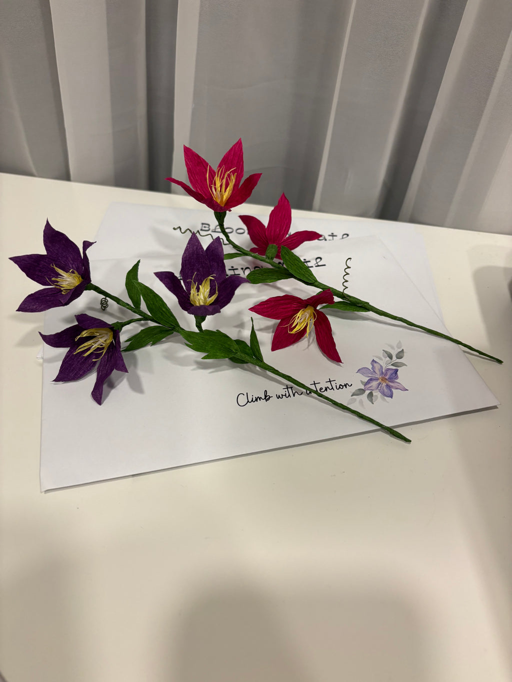 May flower- clematis International