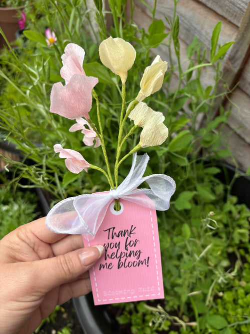 Blooming Mail Monthly Subscription UK & Europe